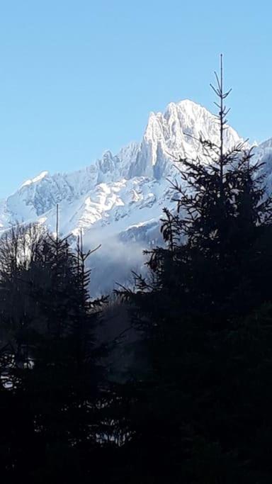 Chalet Les Charmilles - Vallee De Chamonix - 5 Chambres Les Houches Buitenkant foto